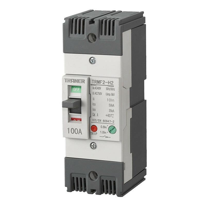 100a elcb,100a elcb price,100ma elcb,125a elcb,elcb 63 amp 2 pole price