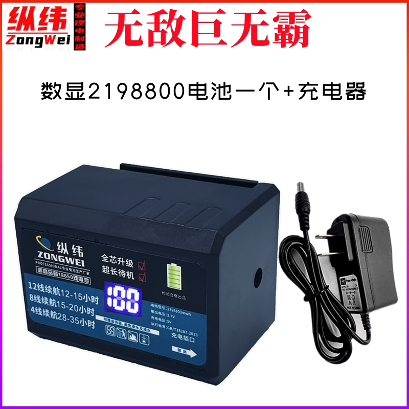 2198800 Lithium Battery for level gauge