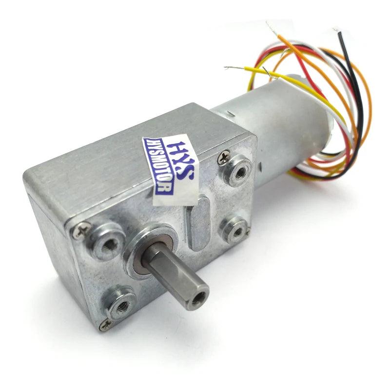 370 Brushless Motor Gear 12V 24V DC Electric Motor BLDC Metal Gearbox  Worm Reduce Mni Motor JGY370