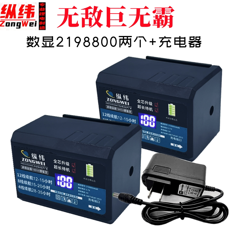 2198800 Lithium Battery for level gauge