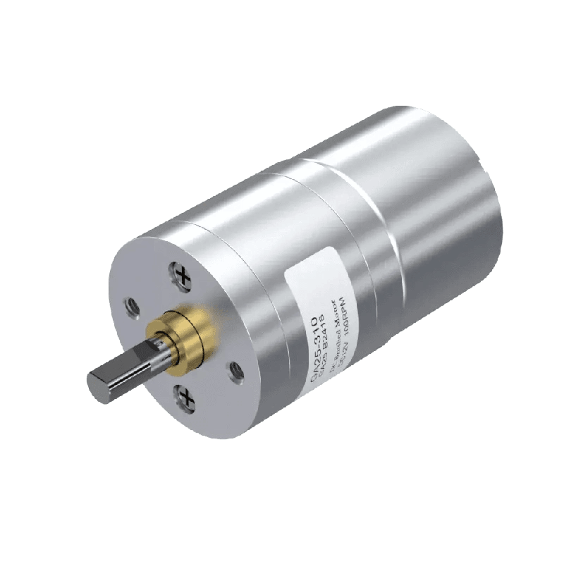 dc motor 2w