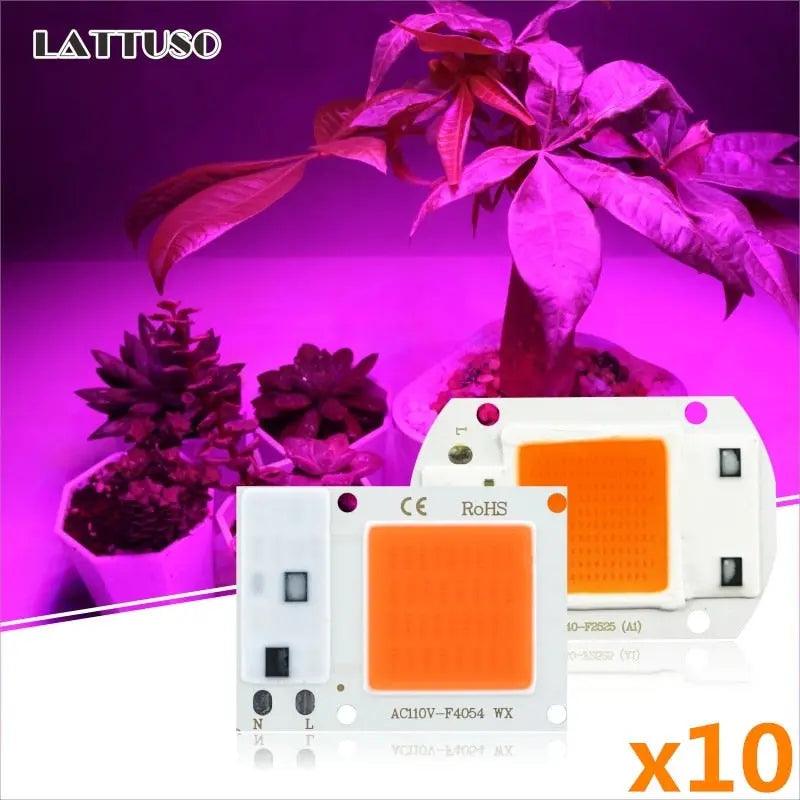 LATTUSO- 10pcs/lot COB LED Chip Phyto Lamp|  10W-50W optional - electrical center b2c