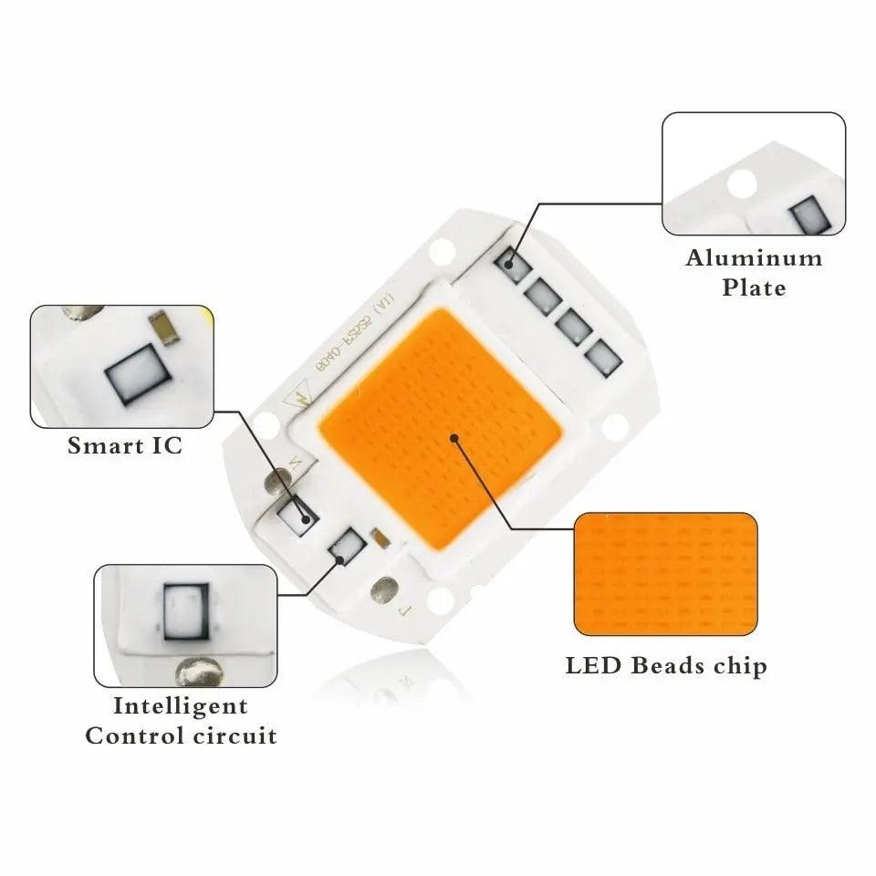 LATTUSO- 10pcs/lot COB LED Chip Phyto Lamp|  10W-50W optional - electrical center b2c