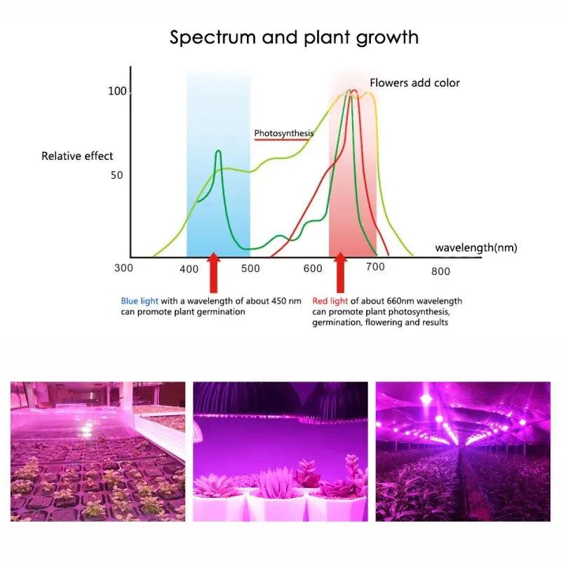 LATTUSO- E27 LED Grow Light| Hydroponic Lighting 18W-80W optional - electrical center b2c