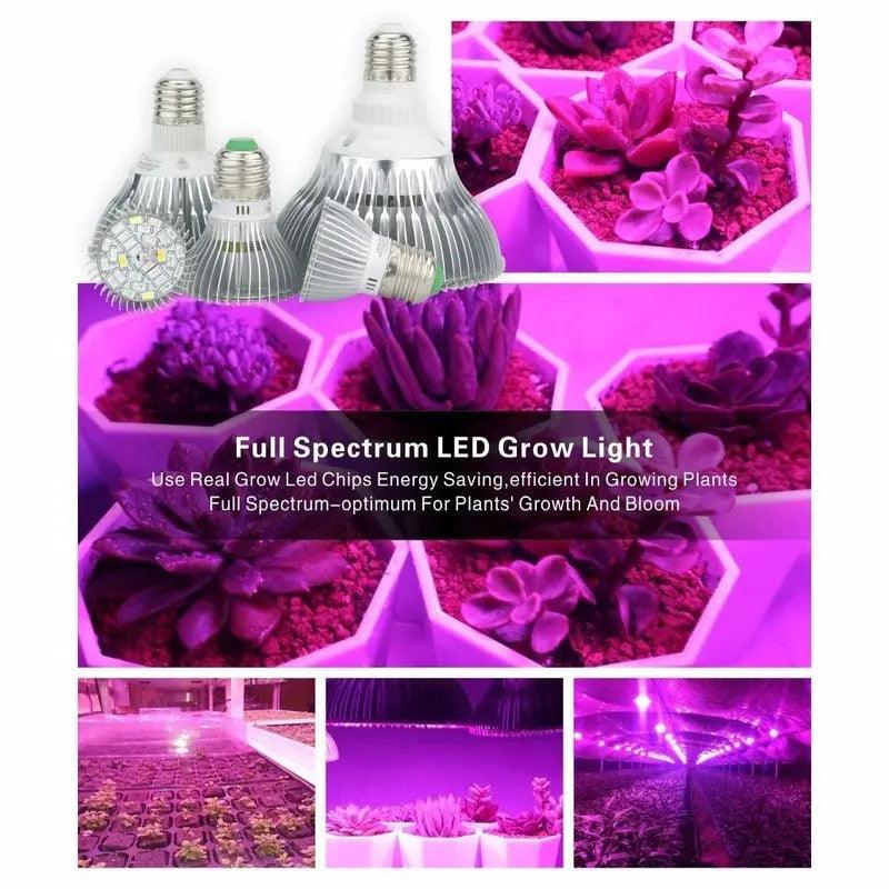 LATTUSO- E27 LED Grow Light| Hydroponic Lighting 18W-80W optional - electrical center b2c