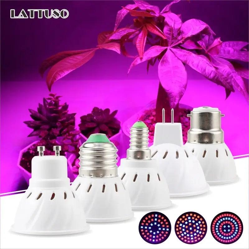 LATTUSO- LED Grow Light Red Blue UV IR/ E14 E27 MR16 GU10 B22 optional - electrical center b2c