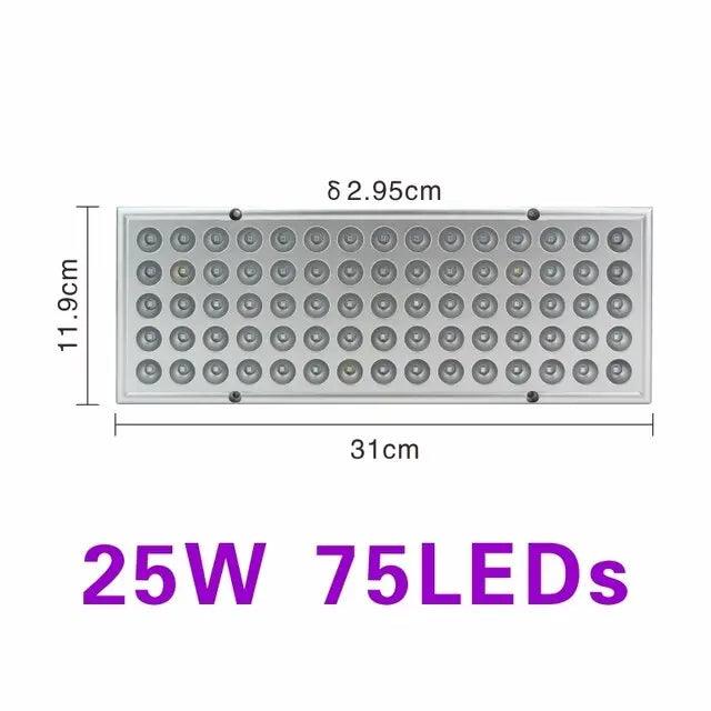 LATTUSO- Phyto Lamp Indoor Grow Lamp For Plant | 75/144LEDS optional - electrical center b2c